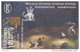 GREECE - Birds, Frog, Museum Of Natural History Of Crete, 02/99, Used - Sonstige & Ohne Zuordnung