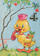 OISEAU Animaux Vintage Carte Postale CPSM #PBR602.A - Vögel