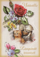 GATTO KITTY Animale Vintage Cartolina CPSM #PBQ915.A - Katten