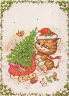 KATZE MIEZEKATZE Tier Vintage Ansichtskarte Postkarte CPSM #PBQ787.A - Katten