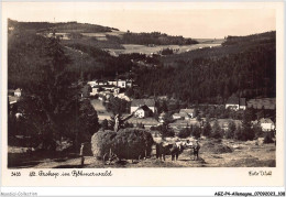 AGZP4-0360-ALLEMANGE - ST PROKOP IM BOHMERWALD  - Andere & Zonder Classificatie