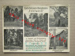 WW2 Austria / Gehörlosen-Bergheim Edelweiss ( 1942 ) Seal ... - War 1939-45