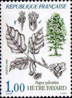 France Poste N** Yv:2384 Mi:2514 Hêtre Fayard Fagus Sylvatica - Unused Stamps