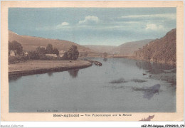 AGZP10-0929-BELGIQUE - HEER-AGIMONT - VUE PANORAMIQUE SUR LA MEUSE  - Dinant