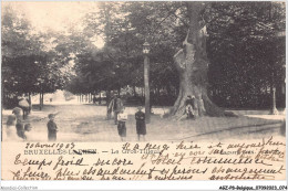 AGZP8-0698-BELGIQUE - LE BROS-TILLEUL  - Sonstige & Ohne Zuordnung