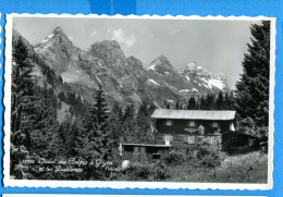 VIX131, Chalet Des Belges à Gryon Et Les Diablerets, 12892, Perrochet Phototypie, Non  Circulée - Gryon