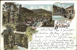 71681492 Wildbad Schwarzwald Anlagenpartien Trinkhalle Hotel Bellevue Bad Wildba - Sonstige & Ohne Zuordnung