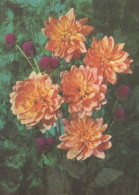 FLOWERS Vintage Postcard CPSM #PAR694.GB - Blumen