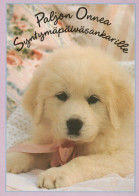 DOG Animals Vintage Postcard CPSM #PAN900.GB - Perros