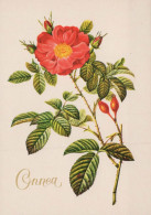 FLEURS Vintage Carte Postale CPSM #PAS292.FR - Flowers