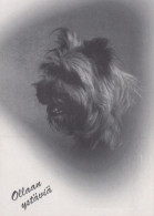 CHIEN Animaux Vintage Carte Postale CPSM #PAN966.FR - Chiens