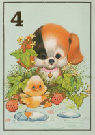 CHIEN Animaux Vintage Carte Postale CPSM #PAN569.FR - Dogs