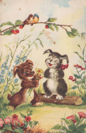 DOG Vintage Postcard CPSMPF #PKG931.GB - Chiens