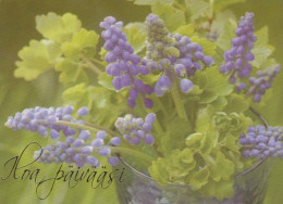 FLOWERS Vintage Postcard CPSM #PBZ582.GB - Fleurs