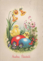 EASTER CHICKEN EGG Vintage Postcard CPSM #PBP251.GB - Pascua