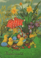 EASTER CHICKEN EGG Vintage Postcard CPSM #PBO628.GB - Ostern