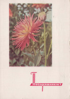 FLORES Vintage Tarjeta Postal CPSM #PAR690.ES - Flowers