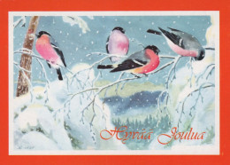 Bonne Année Noël OISEAU Vintage Carte Postale CPSM #PBM806.FR - Año Nuevo