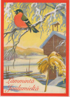 Bonne Année Noël OISEAU Vintage Carte Postale CPSM #PBB466.FR - Año Nuevo