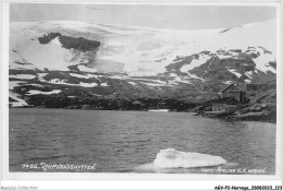 AGVP2-0128-NORVEGE - DJUPVANDSHYTTEN - Norvège