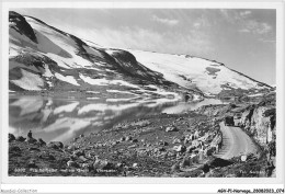 AGVP1-0040-NORVEGE - VIDESAETER - Fra Hoifjellet Mellem Grotti - Norway