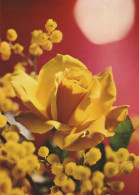 FLOWERS Vintage Ansichtskarte Postkarte CPSM #PAS353.DE - Blumen