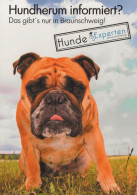 HUND Tier Vintage Ansichtskarte Postkarte CPSM #PAN636.DE - Chiens