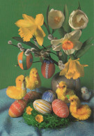 PASCUA POLLO HUEVO Vintage Tarjeta Postal CPSM #PBP125.ES - Ostern