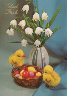 PASCUA POLLO HUEVO Vintage Tarjeta Postal CPSM #PBP247.ES - Ostern