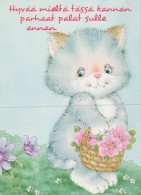 GATTO KITTY Animale Vintage Cartolina CPSM #PAM256.IT - Cats