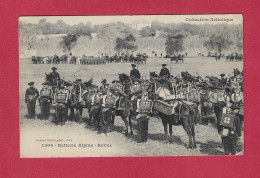 MILITARIA - CHASSEURS ALPINS - Batterie Alpine - Revue - Regiments