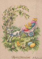 OSTERN EI Vintage Ansichtskarte Postkarte CPSM #PBO117.DE - Pâques