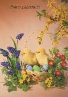 PASQUA POLLO UOVO Vintage Cartolina CPSM #PBP190.IT - Easter