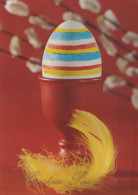 PASQUA UOVO Vintage Cartolina CPSM #PBO183.IT - Easter