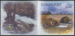 Europa CEPT 2001 Chypre - Zypern - Cyprus Carnet Y&T N°C984 - Michel N°MH2 *** - 2001