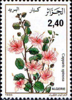 Algérie (Rep) Poste N** Yv: 884 Mi:926 Capparis Spinosa (Thème) - Other & Unclassified