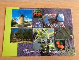 France. La Provence. Harmonie Des Couleurs - Provence-Alpes-Côte D'Azur