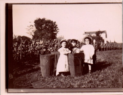 Photographie Photo Vintage Snapshot Anonyme Enfant Vigne Vendange Vin Villeneuve - Lieux