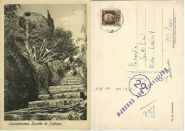 Bocche Cattaro Boka Kotorska Montenegro Crna Gora Italy Occ.Era Castelnuovo  B/w Pcard 2ago1943 By Posta Militare - Military Mail (PM)