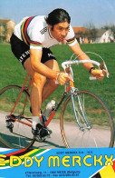 Vélo - Cyclisme - Coureur Cycliste Eddy Merckx - Champion Du Monde  - Wielrennen