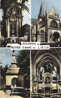 02 SOUVENIR DE NOTRE-DAME DE LIESSE LE SANCTUAIRE LA BASILIQUE LA FONTAINE MIRACULEUSE LE JUBE - Sonstige & Ohne Zuordnung