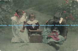 R170549 The New Pet. Kids Playing. Living Picture. 1907 - Welt