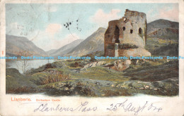 R169512 Llanberis. Dolbadarn Castle. Peacock. Autochrom. Pictorial Stationery. 1 - Welt