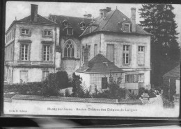 MUSSY SUR SEINE CHATEAU - Mussy-sur-Seine