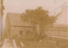 1894 Photo L'île De Bréhat à Roch Ar Sparch Côtes D'armor Bretagne - Europe