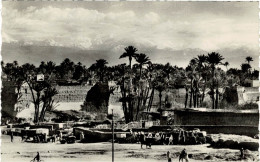 MARRAKECH - Un Coin à BAB DOUKKALA - Photo Bertrand, Marrakech - Voyagée 1950 - Marrakesh