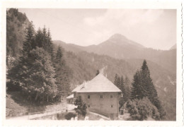 Frontière Avec L'Autriche (côté Slovène) - Photographie Ancienne 5,9 X 8,6 Cm - Voyage En Yougoslavie En 1951 - (photo) - Slowenien