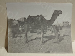 Egypt Antique Photo PORT SAID. N. 13. 100x80 Mm. - Africa
