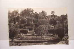 CAMP  BOULHAUT  ( Maroc ) - Jardin Du Controle ( Pas De Reflet Sur L'original ) - Sonstige & Ohne Zuordnung