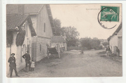 CP 10 MAGNICOURT La Grande Rue - Sonstige & Ohne Zuordnung